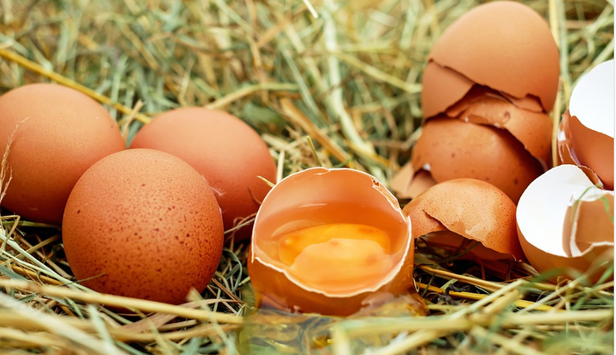 Cara Periksa Kesegaran Telur Ayam – Elak Keracunan Makanan